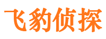 江汉寻人公司